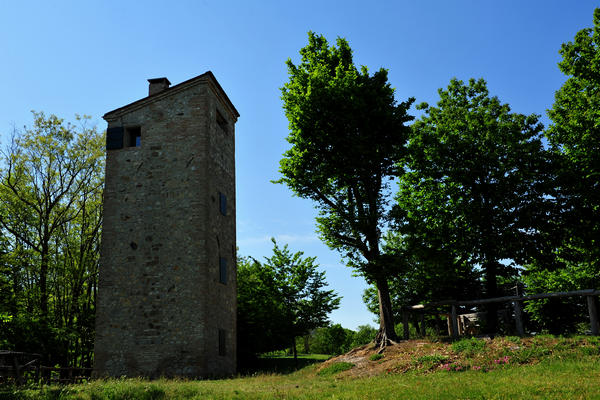 Roccolo Bonato sul Monte Rua a Torreglia, Colli Euganei