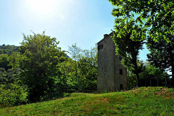 Roccolo Bonato sul Monte Rua a Torreglia, Colli Euganei
