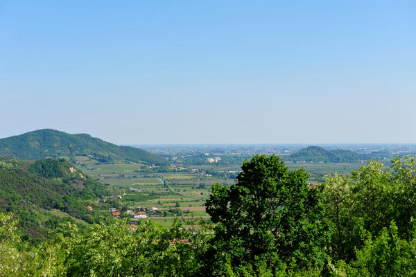 Roccolo Bonato sul Monte Rua a Torreglia, Colli Euganei