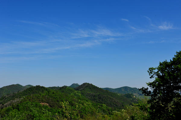 Roccolo Bonato sul Monte Rua a Torreglia, Colli Euganei