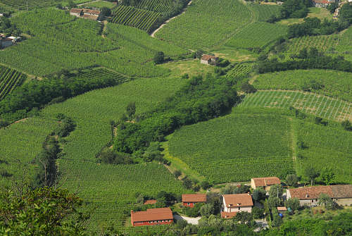 Vo Euganeo, colli euganei