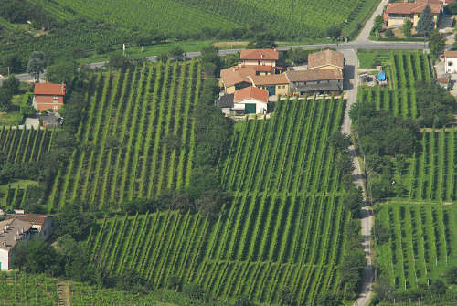 Vo Euganeo, colli euganei