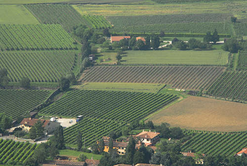 Vo Euganeo, colli euganei