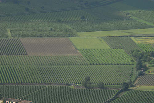 Vo Euganeo, colli euganei