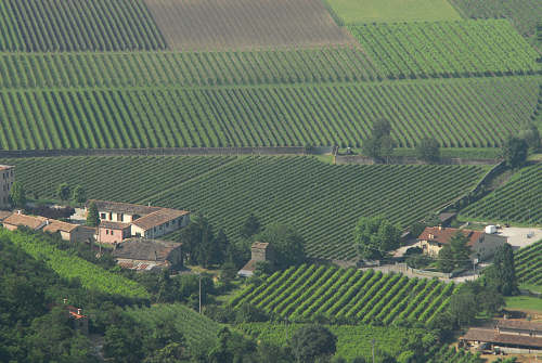 Vo Euganeo, colli euganei