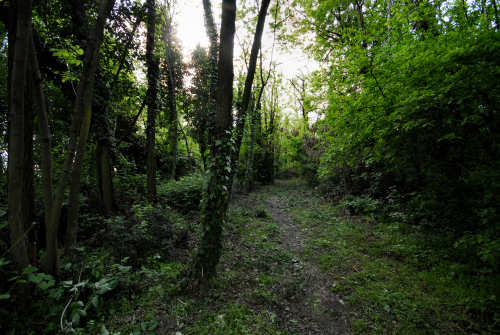 Monte Rosso, Abano Terme