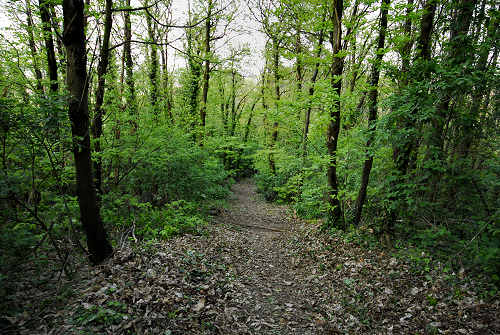 Monte Rosso, Abano Terme