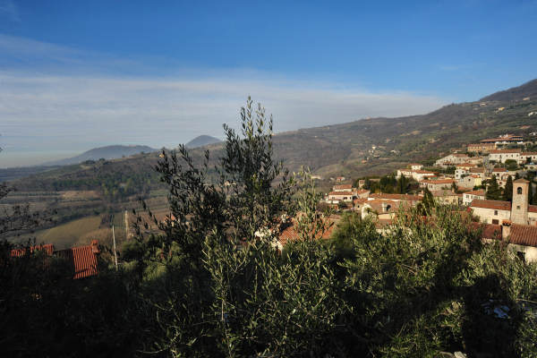 Arquà Petrarca - Colli Euganei