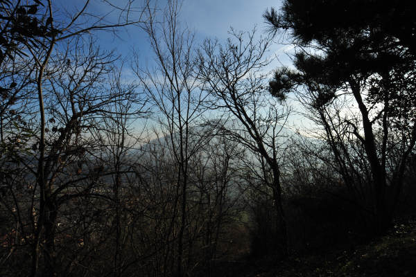 Arquà Petrarca - Colli Euganei