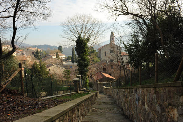Arquà Petrarca - Colli Euganei