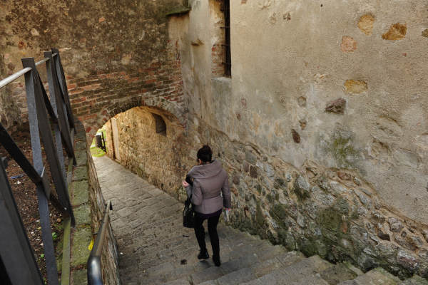 Arquà Petrarca - Colli Euganei