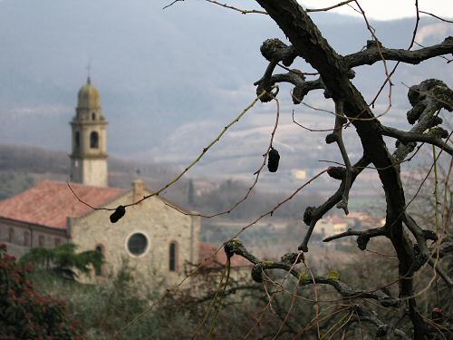 Arquà Petrarca - Colli Euganei