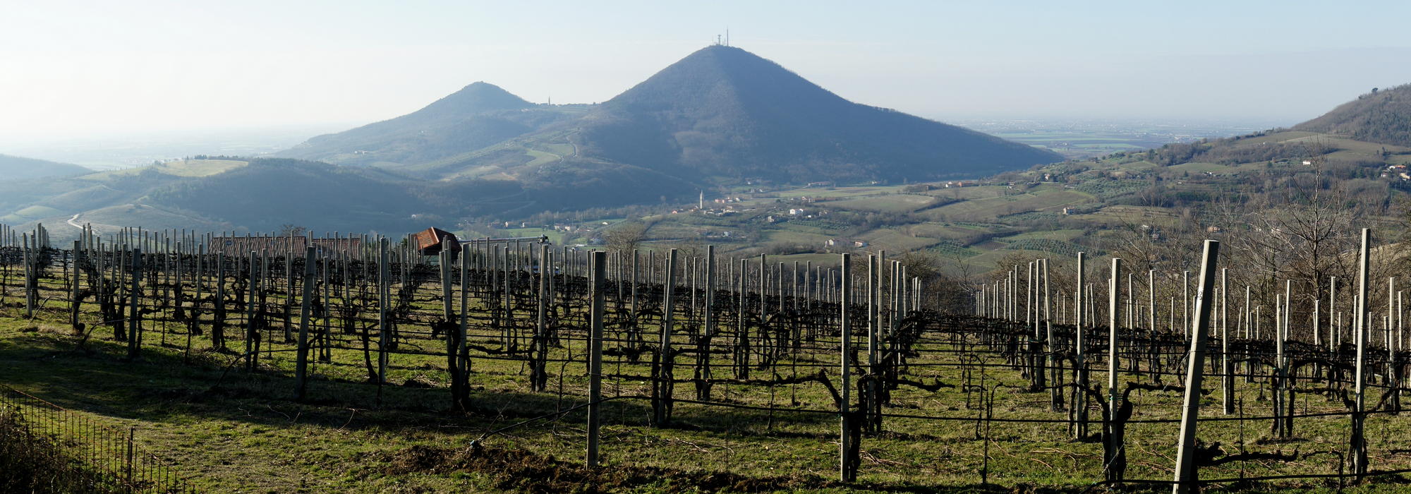 Arquà Petrarca nei Colli Euganei