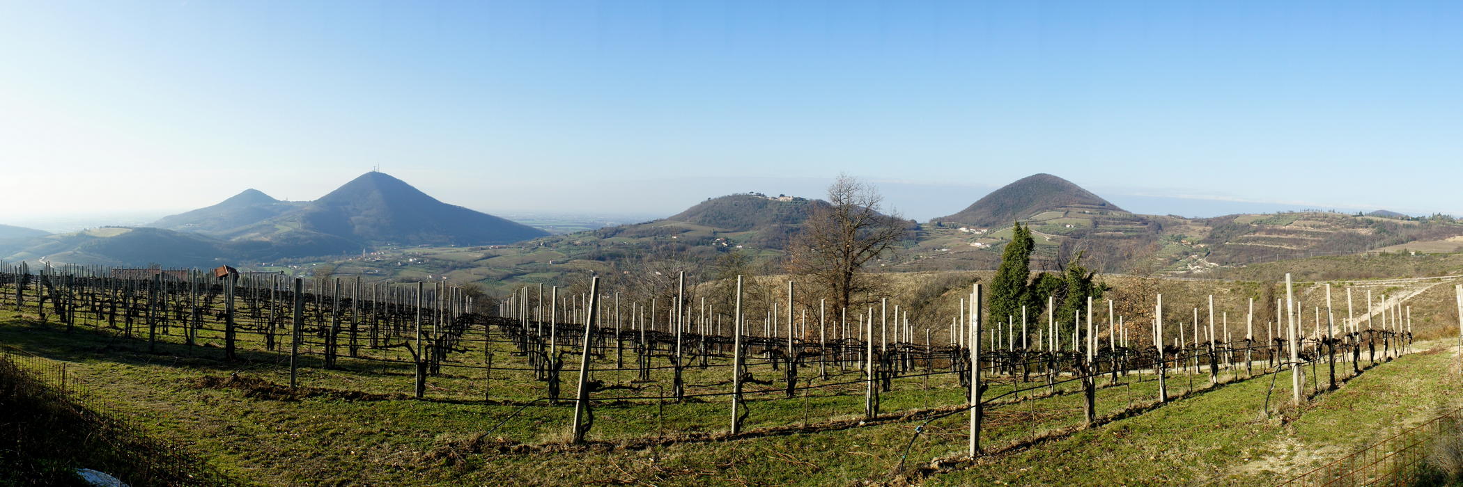 Arquà Petrarca nei Colli Euganei
