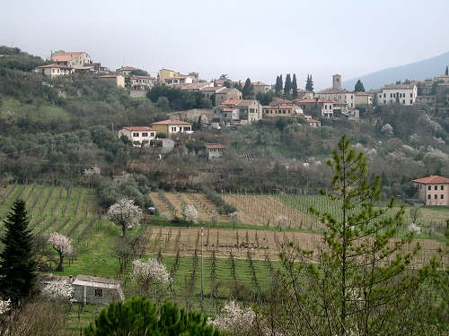 Arquà Petrarca, Valle San Giorgio, Monte Fasolo e Colli Euganei