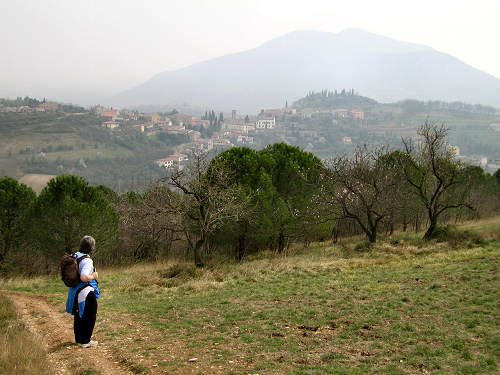 Arquà Petrarca, Valle San Giorgio, Monte Fasolo e Colli Euganei