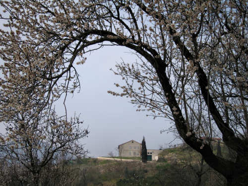 Arquà Petrarca, Valle San Giorgio, Monte Fasolo e Colli Euganei