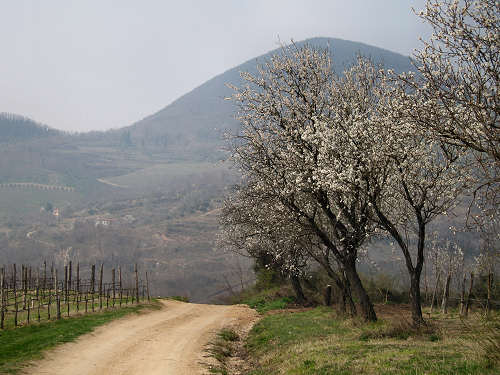 Arquà Petrarca, Valle San Giorgio, Monte Fasolo e Colli Euganei