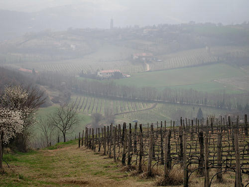 Arquà Petrarca, Valle San Giorgio, Monte Fasolo e Colli Euganei