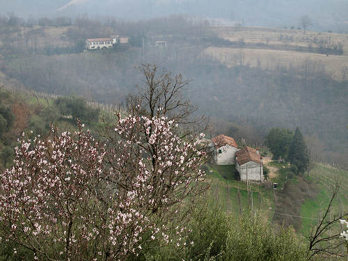 Arquà Petrarca, Valle San Giorgio, Monte Fasolo e Colli Euganei