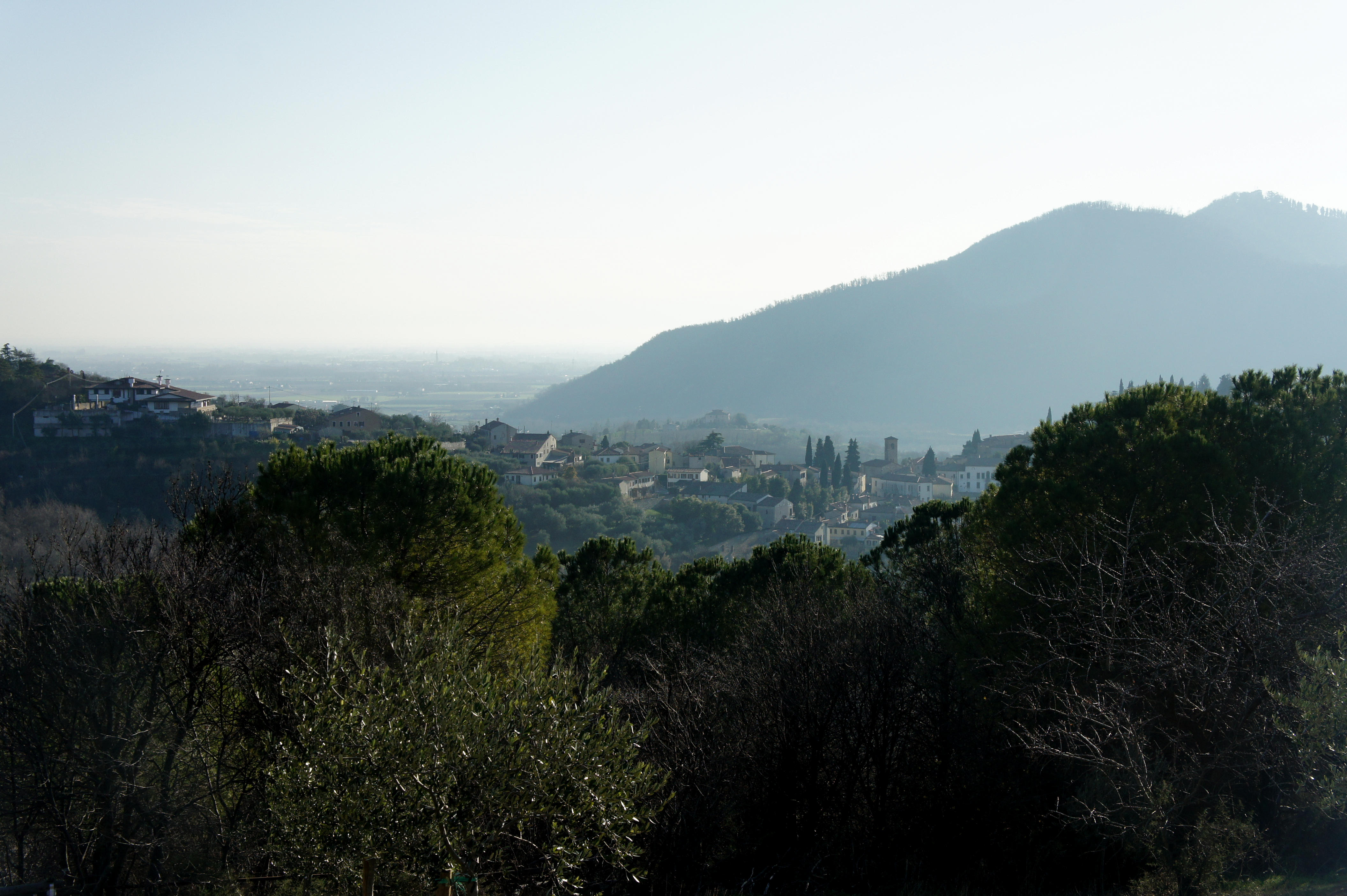 Sentiero Atestino nei Colli Euganei, Arquà Petrarca, Mottolone Valle di Sopra villa Beatrice al Gemola monte Rusta Fasolo Calto Callegaro Ventolone