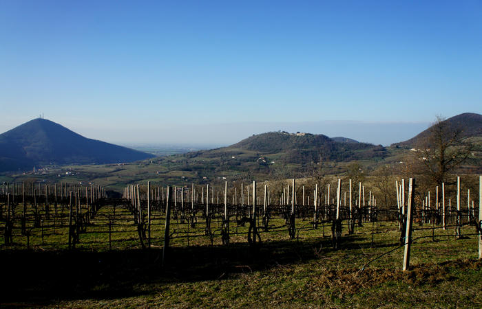 Sentiero Atestino nei Colli Euganei, Arquà Petrarca, Mottolone Valle di Sopra villa Beatrice al Gemola monte Rusta Fasolo Calto Callegaro Ventolone