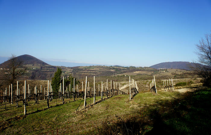 Sentiero Atestino nei Colli Euganei, Arquà Petrarca, Mottolone Valle di Sopra villa Beatrice al Gemola monte Rusta Fasolo Calto Callegaro Ventolone