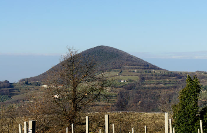 Sentiero Atestino nei Colli Euganei, Arquà Petrarca, Mottolone Valle di Sopra villa Beatrice al Gemola monte Rusta Fasolo Calto Callegaro Ventolone