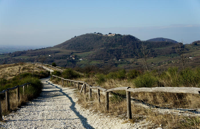 Sentiero Atestino nei Colli Euganei, Arquà Petrarca, Mottolone Valle di Sopra villa Beatrice al Gemola monte Rusta Fasolo Calto Callegaro Ventolone
