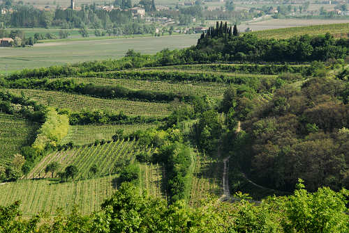 sentiero Monte Cecilia a Baone