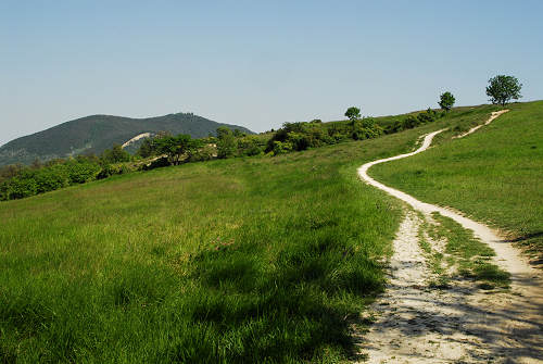sentiero Monte Cecilia a Baone