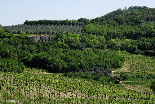sentiero Monte Cecilia a Baone
