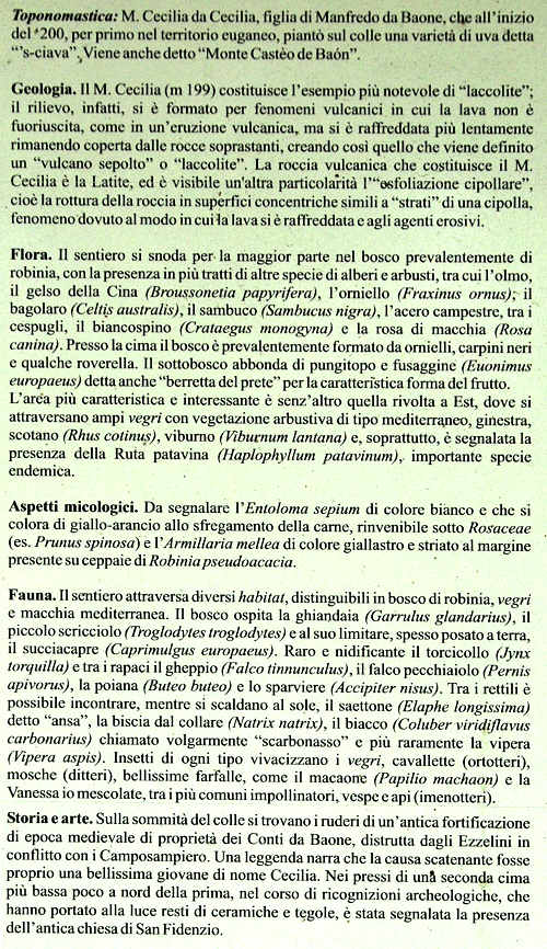 sentiero Monte Cecilia a Baone