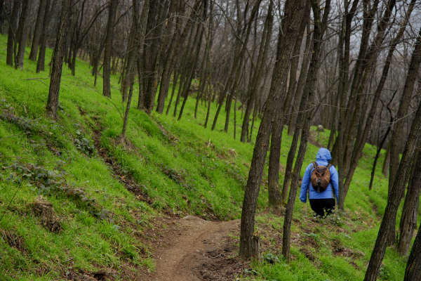 sentiero Monte Cecilia a Baone