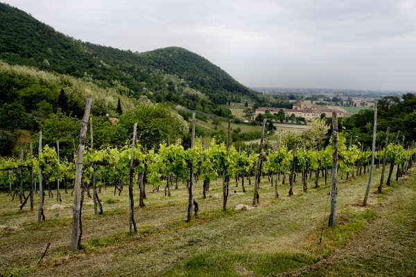 Abano Terme, giro cicloturistico dei Santuari, Colli Euganei