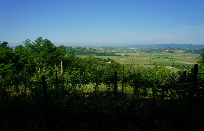 Colli Euganei, giro cicloturistico settore nord-ovest, Bastia Rovolon Bagnara Vo Carbonara