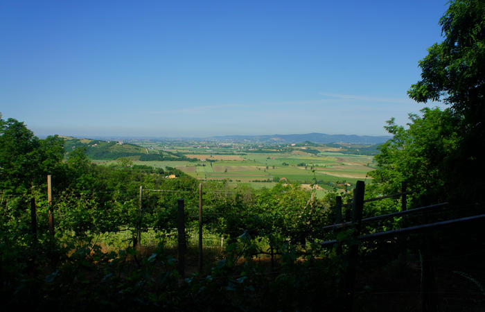Colli Euganei, giro cicloturistico settore nord-ovest, Bastia Rovolon Bagnara Vo Carbonara
