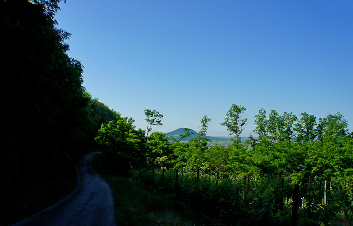 Colli Euganei, giro cicloturistico settore nord-ovest, Bastia Rovolon Bagnara Vo Carbonara