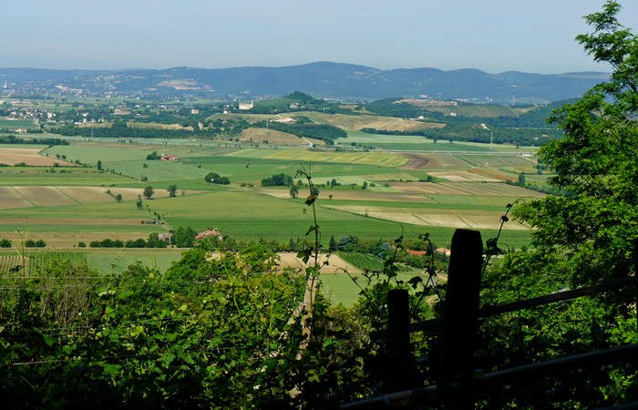 Colli Euganei, giro cicloturistico settore nord-ovest, Bastia Rovolon Bagnara Vo Carbonara