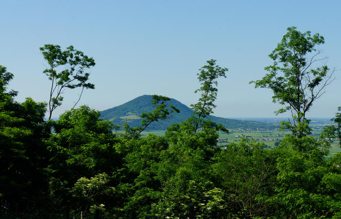 Colli Euganei, giro cicloturistico settore nord-ovest, Bastia Rovolon Bagnara Vo Carbonara