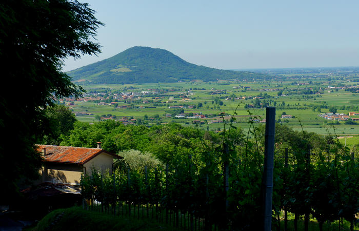 Colli Euganei, giro cicloturistico settore nord-ovest, Bastia Rovolon Bagnara Vo Carbonara