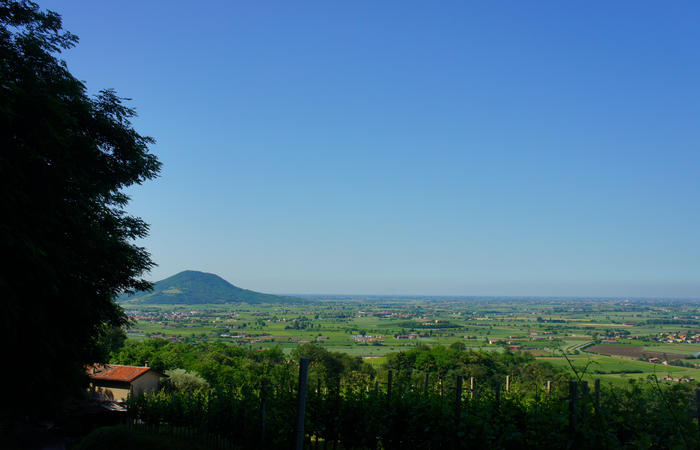 Colli Euganei, giro cicloturistico settore nord-ovest, Bastia Rovolon Bagnara Vo Carbonara