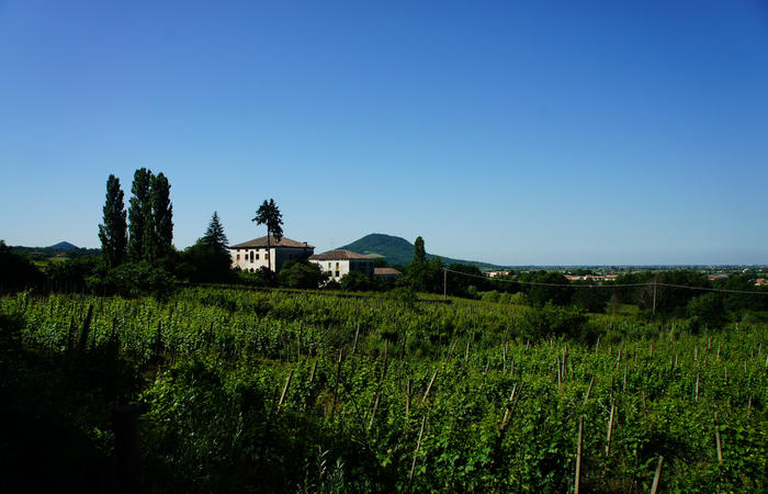Colli Euganei, giro cicloturistico settore nord-ovest, Bastia Rovolon Bagnara Vo Carbonara