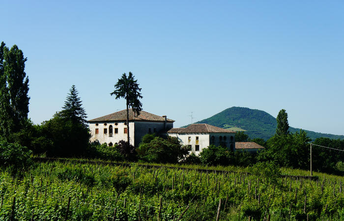 Colli Euganei, giro cicloturistico settore nord-ovest, Bastia Rovolon Bagnara Vo Carbonara