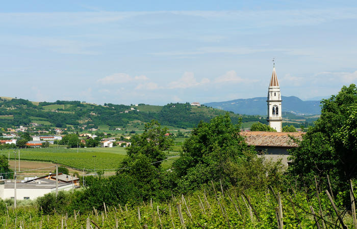Colli Euganei, giro cicloturistico settore nord-ovest, Bastia Rovolon Bagnara Vo Carbonara