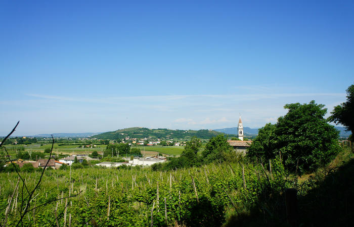 Colli Euganei, giro cicloturistico settore nord-ovest, Bastia Rovolon Bagnara Vo Carbonara