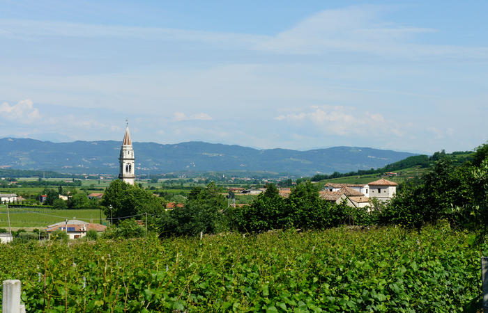 Colli Euganei, giro cicloturistico settore nord-ovest, Bastia Rovolon Bagnara Vo Carbonara