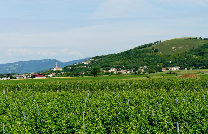 Colli Euganei, giro cicloturistico settore nord-ovest, Bastia Rovolon Bagnara Vo Carbonara