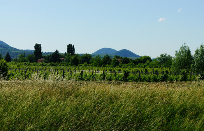 Colli Euganei, giro cicloturistico settore nord-ovest, Bastia Rovolon Bagnara Vo Carbonara