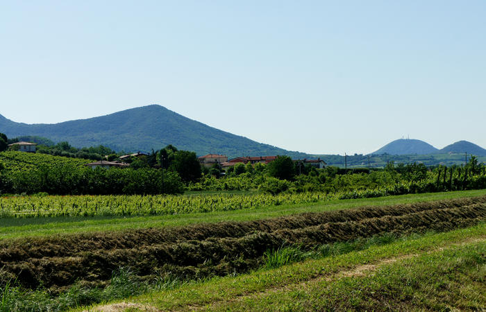 Colli Euganei, giro cicloturistico settore nord-ovest, Bastia Rovolon Bagnara Vo Carbonara